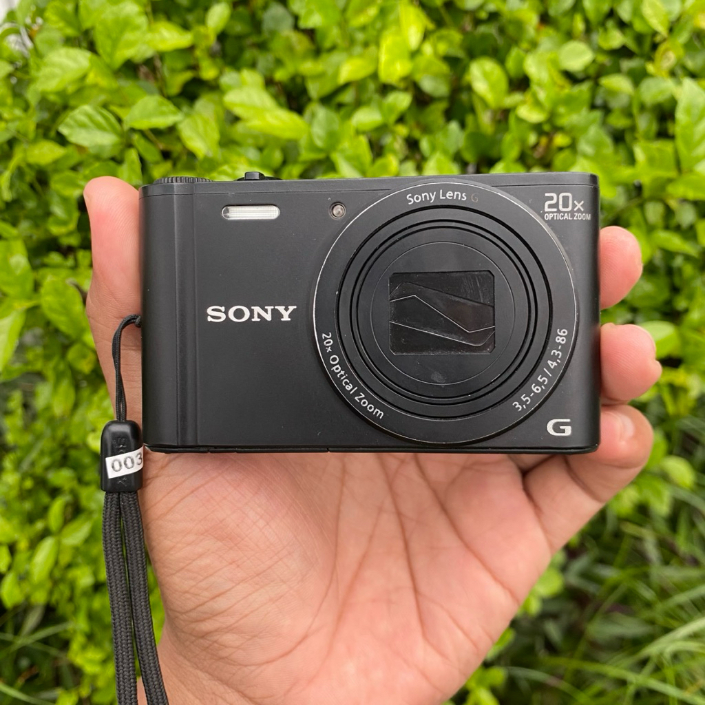 Kamera Digital Sony WX350