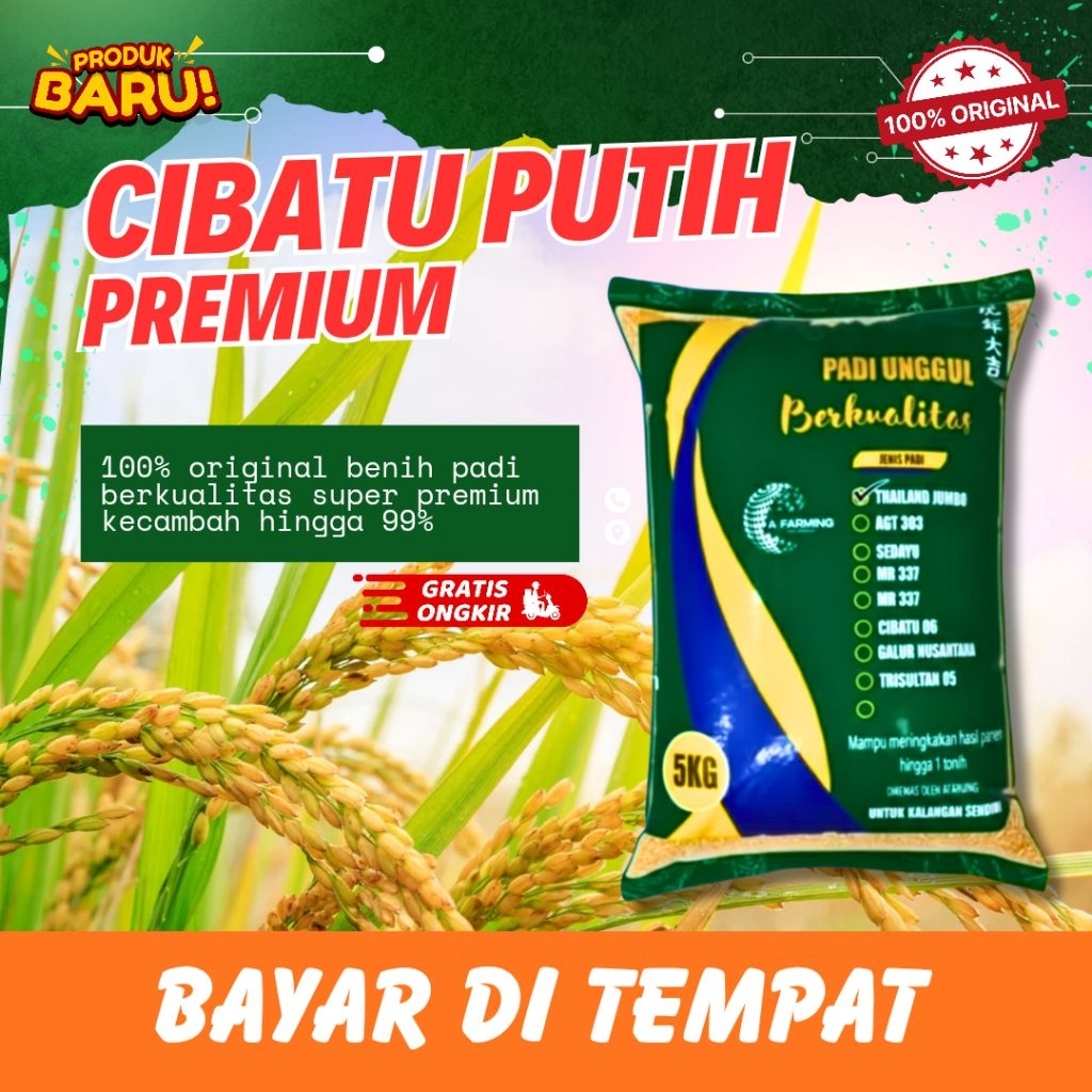 benih padi cibatu putih 5kg