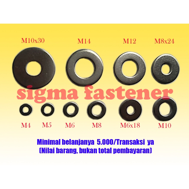 Ring plat stainless M6