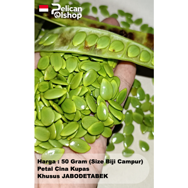 Petai Pete Cina Lamtoro Palending Kupas 50 gram untuk buntilpepes botok sambal