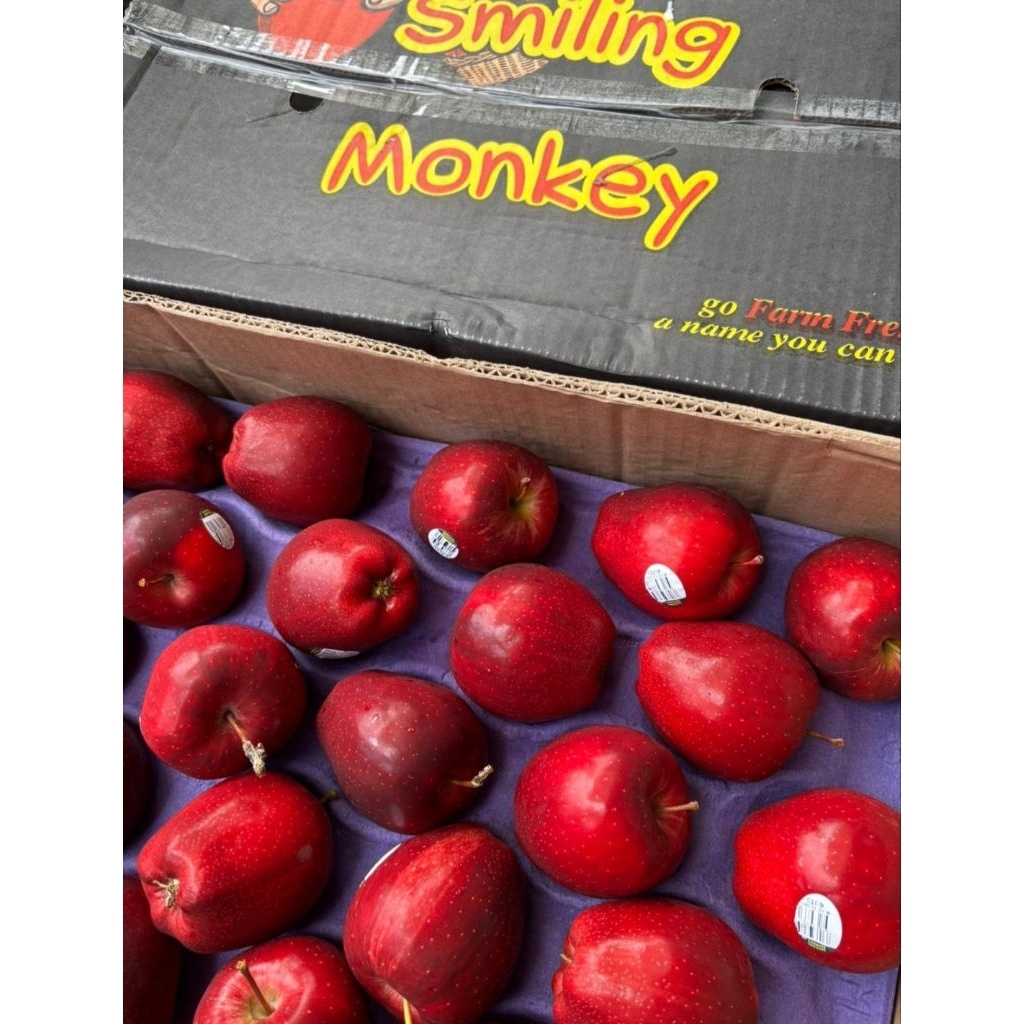 Apel Washington 17 kg kurleb 138 pcs