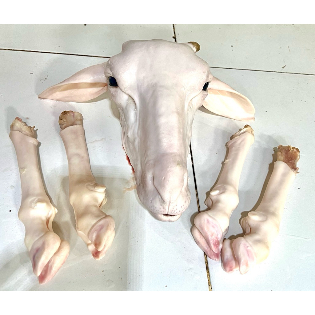 kepala kambing dan kaki sudah bersih