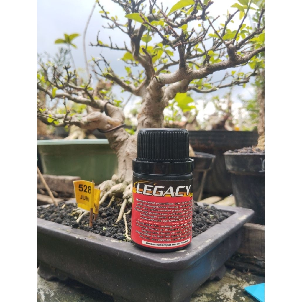 SALEP KAMBIUM LEGACY - salep kambium legacy - kemasan 50ml
