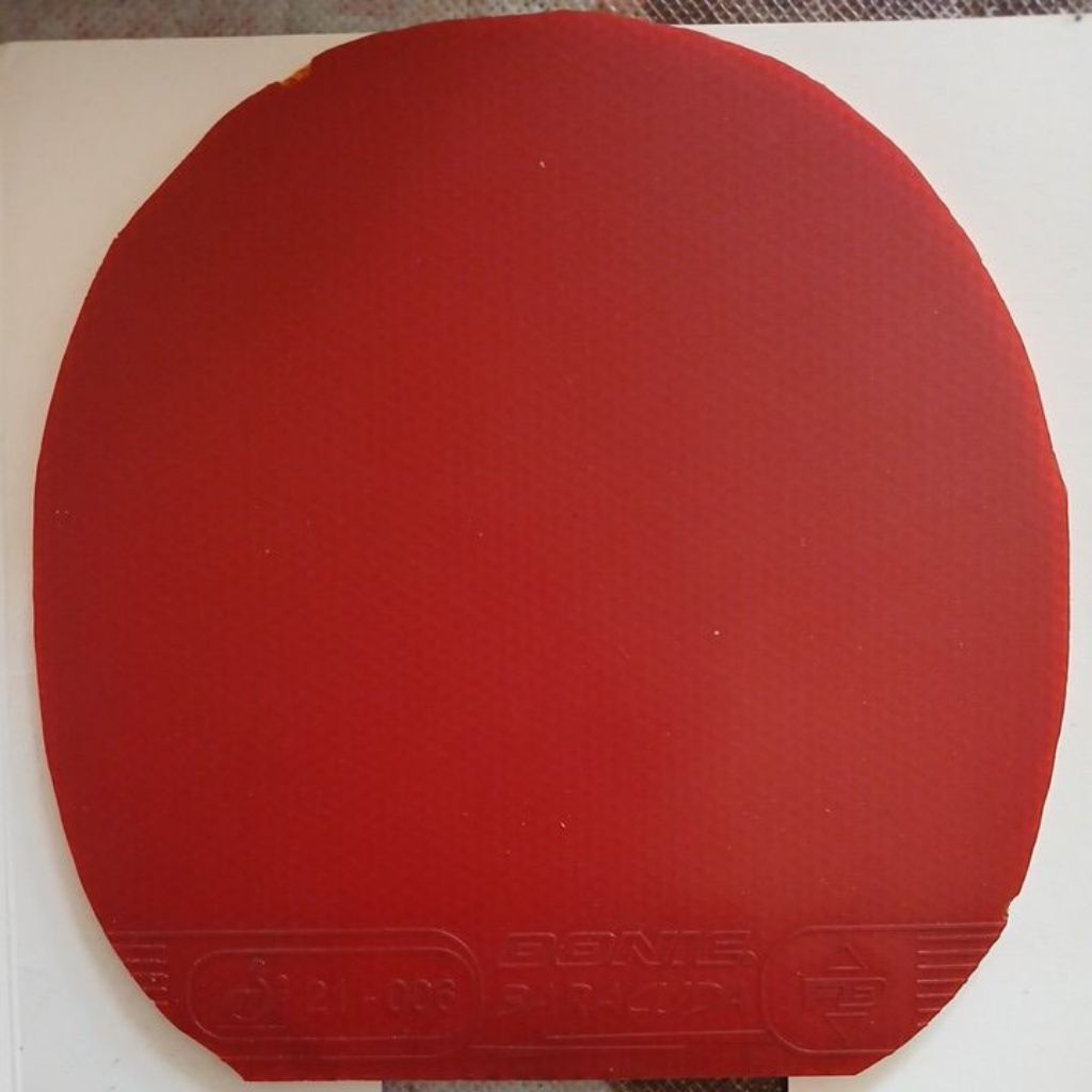 karet donic baracuda big slam second spons max