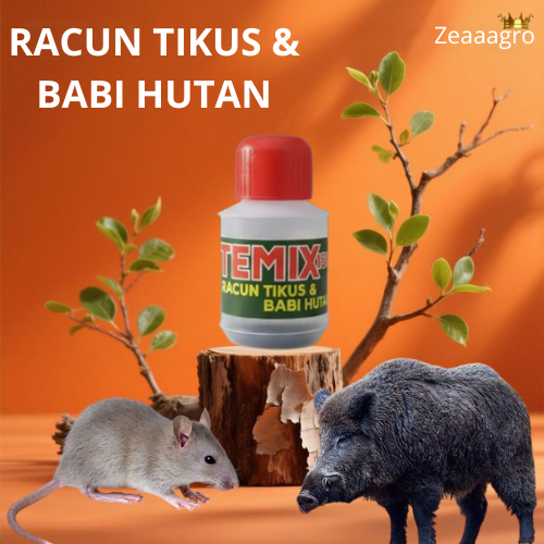 TEMIX GATOTKACA RACUN TIKUS & BABI HUTAN