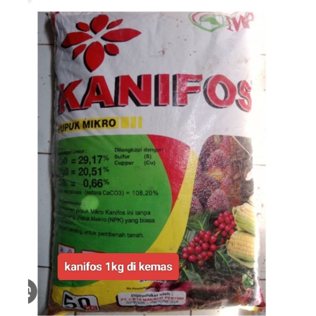 kanifos sangat penting membenah tanah lebih baik