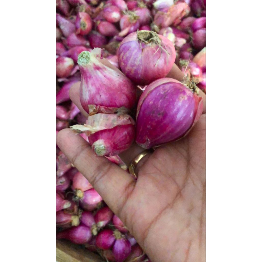 Bawang Merah 1Kg (Besar Mix) Khas Nganjuk