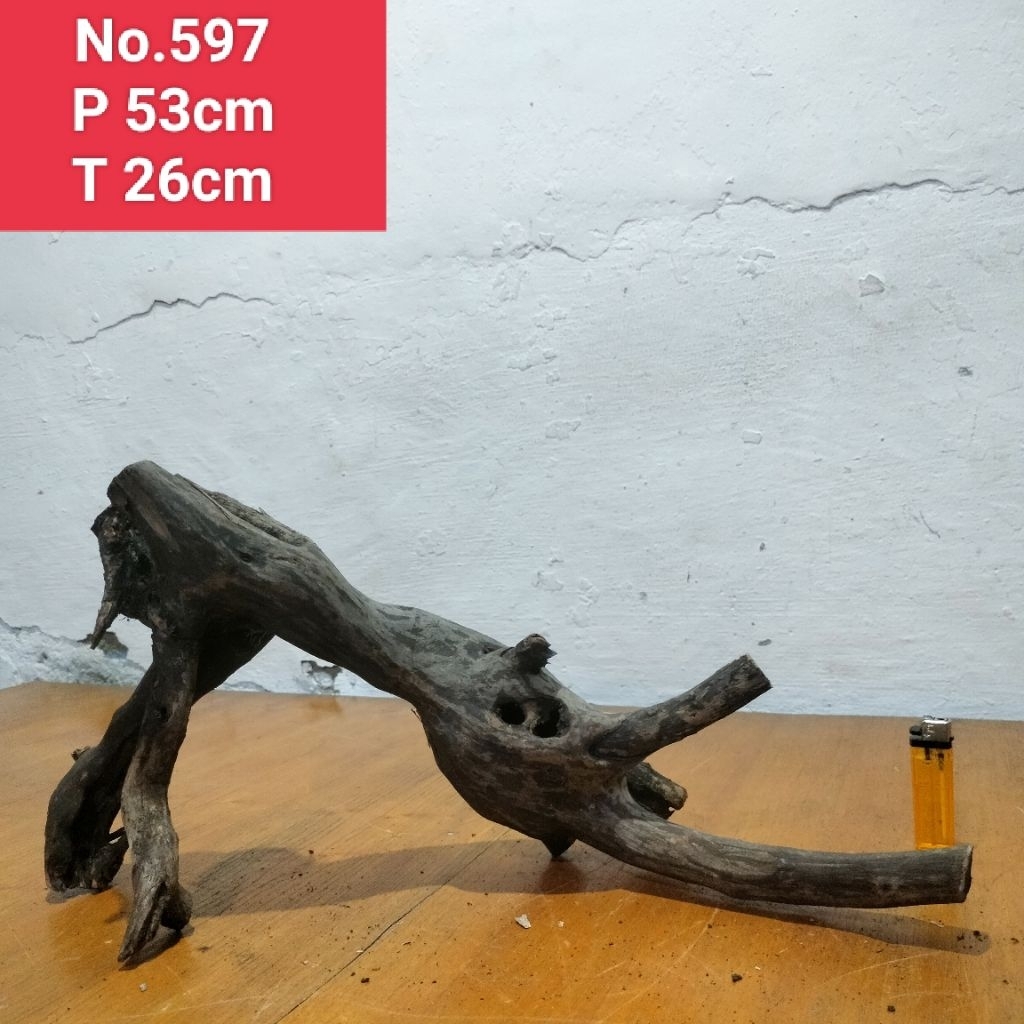 pohon santigi Laut akar santigi laut dekorasi tangkringan hewan peliharaan 597