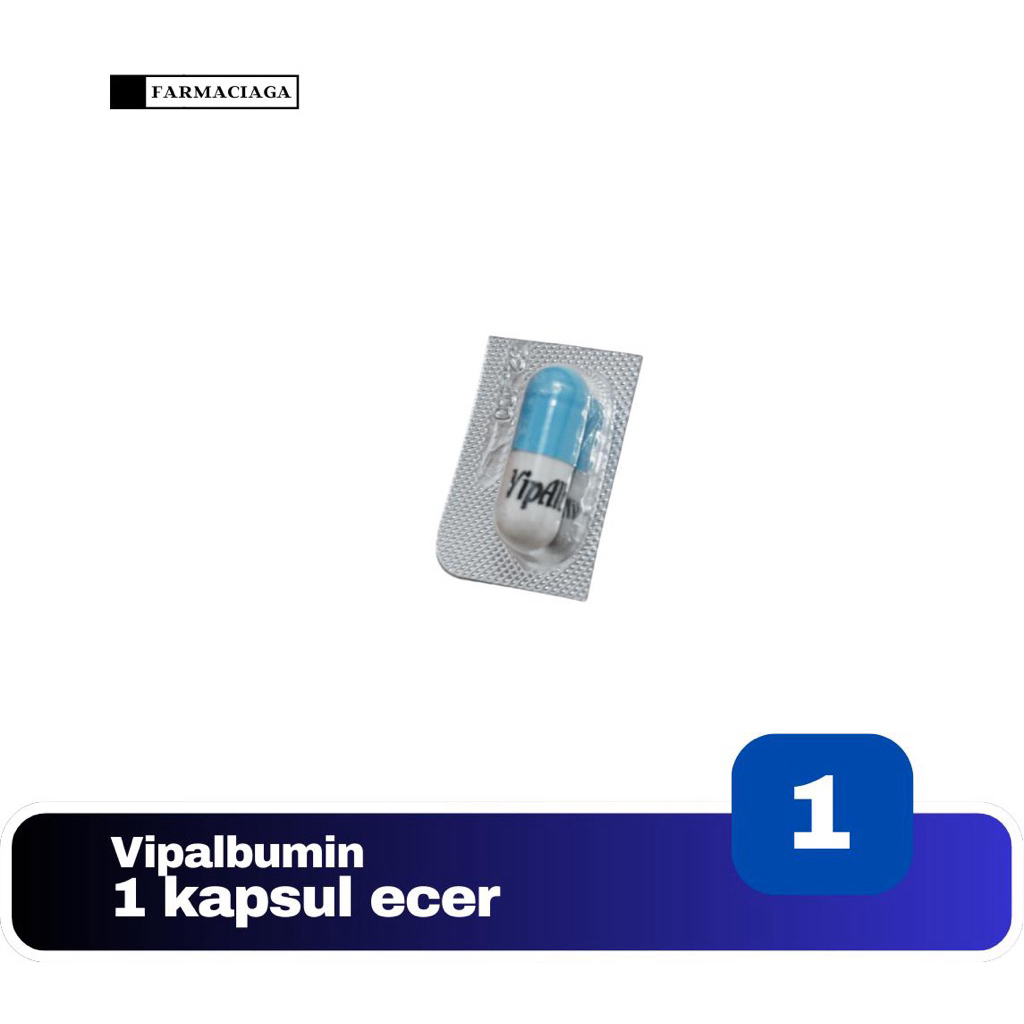 vipalbumin vip albumin kapsul ikan gabus 1 kapsul / 10 strip/ 30 box /ecer per kapsul