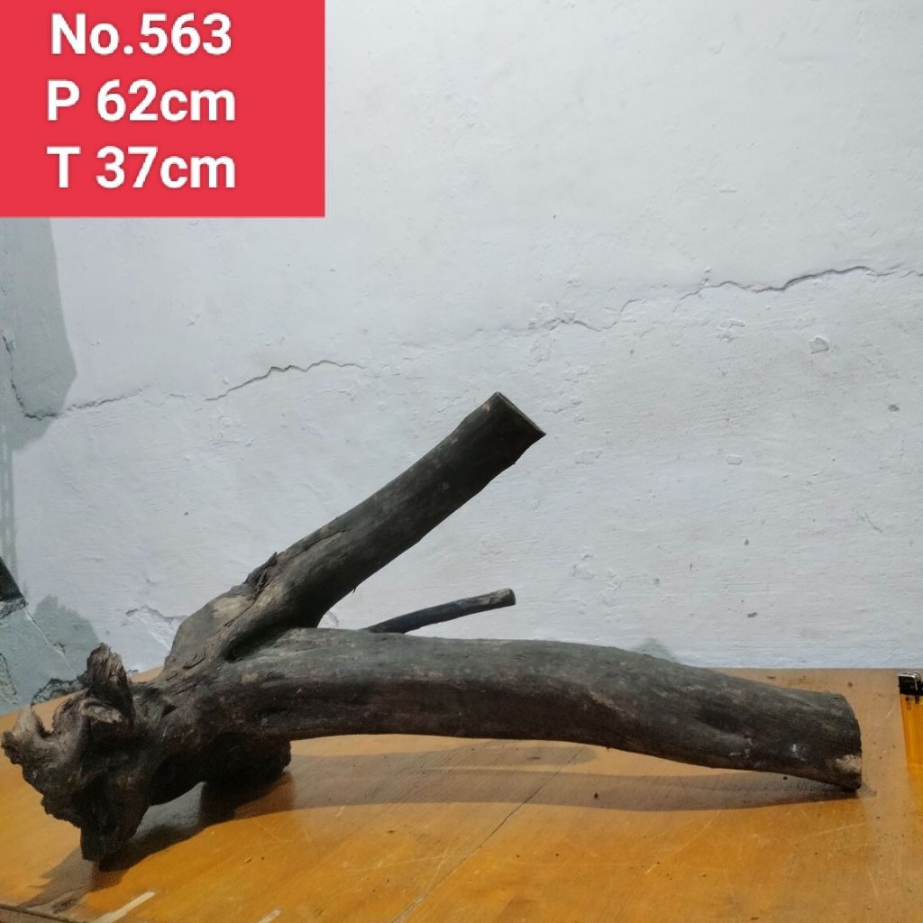 bonggol akar santigi kayu aquascape aquarium 563