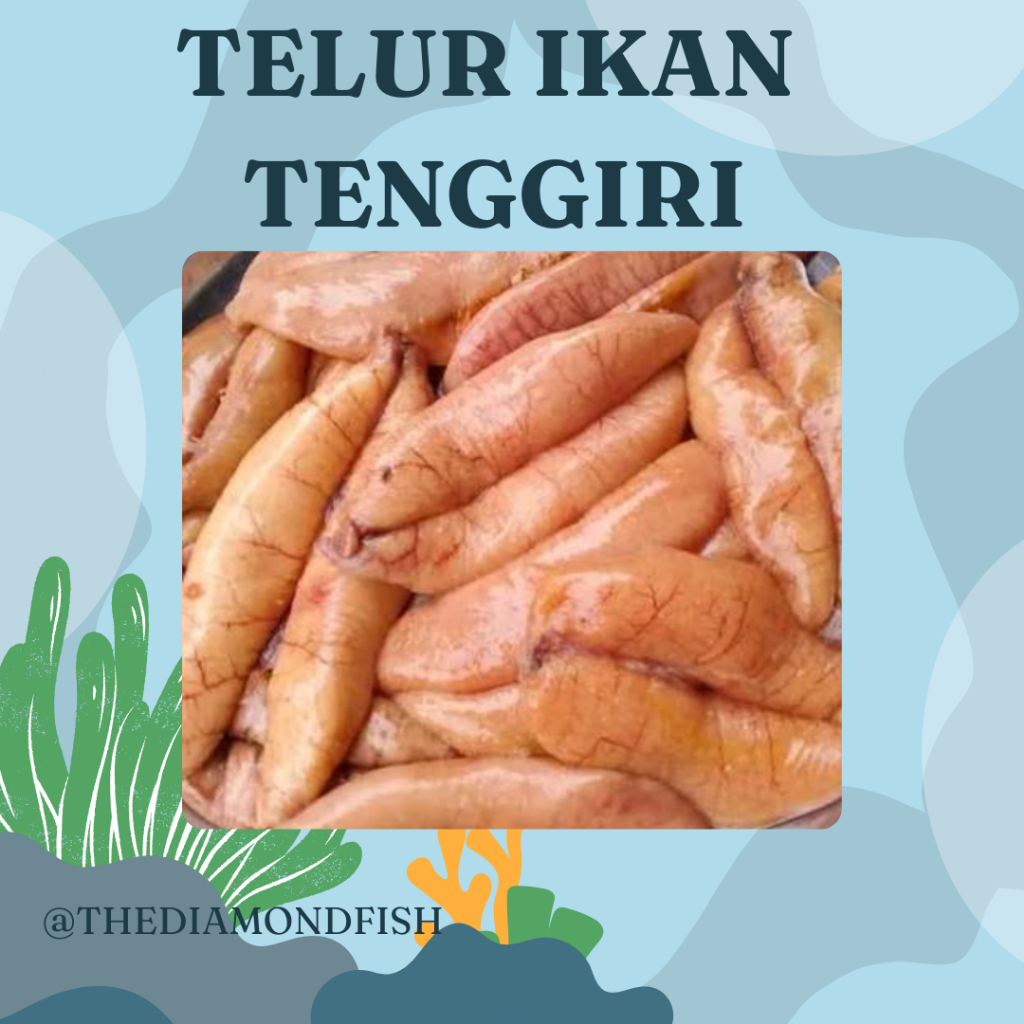Telur Ikan Tenggiri 1Kg Telor Ikan Tenggiri Segar Telor Tenggiri Telur Tenggiri Tengiri Seafood Telo