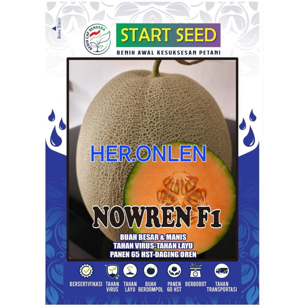 Benih Melon NOWREN F1 + Bonus - Melon net daging orange isi 10 - 20 gram