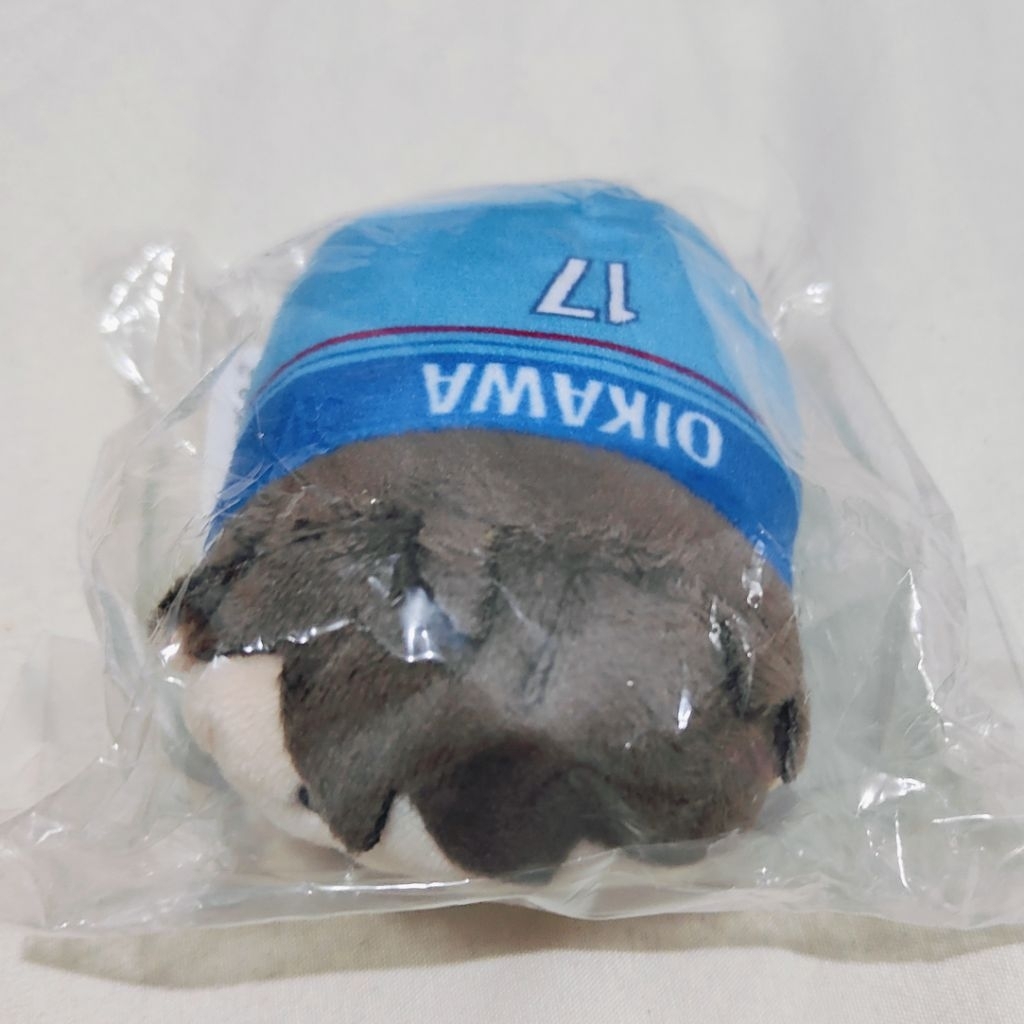 Noru Oikawa haikyuu 10th anniversary