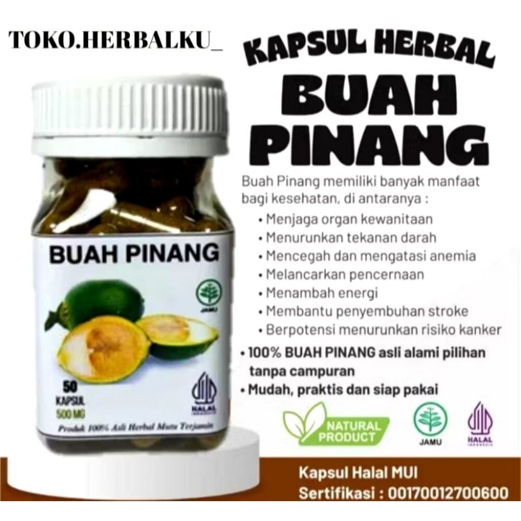 Buah Pinang Muda Asli 50 kapsul