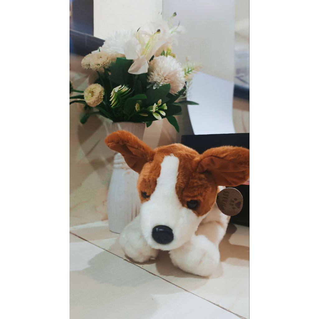 Boneka Anjing Buddy Terrier Plush