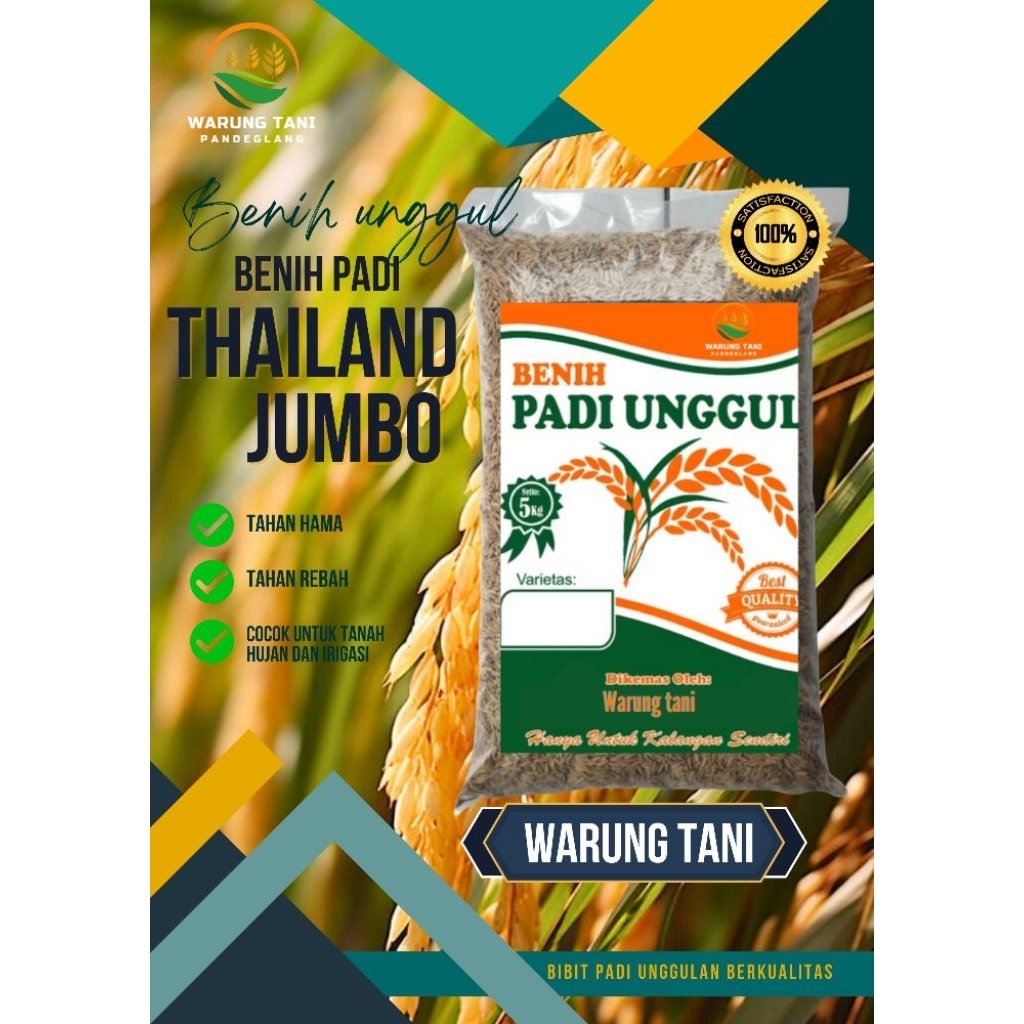 BENIH PADI THAILAND JUMBO BIBIT PADI THAILAND JUMBO BERKUALITAS KEMASAN 5 KG