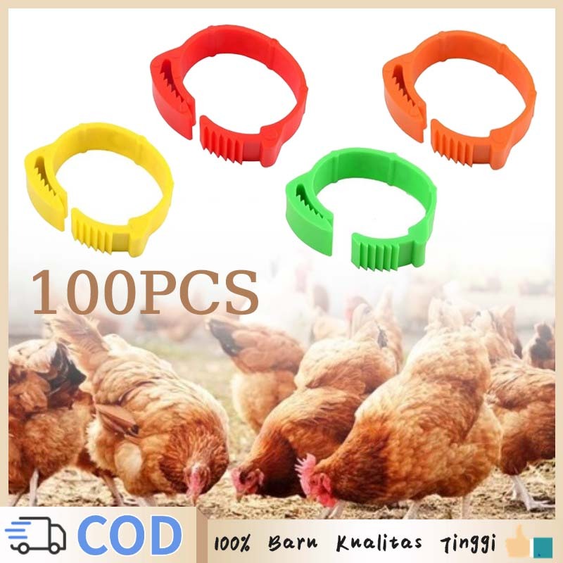Ring Ayam Cincin Penanda Ayam Nomor 001-100 Gelang Kaki Ayam Murah  Gelang Kaki Ayam Bebek Klip Plas