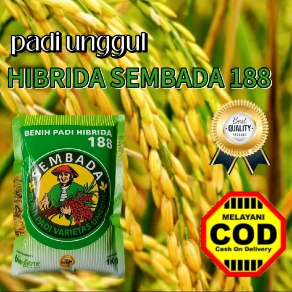 benih padi hibrida sembada 188 1kg