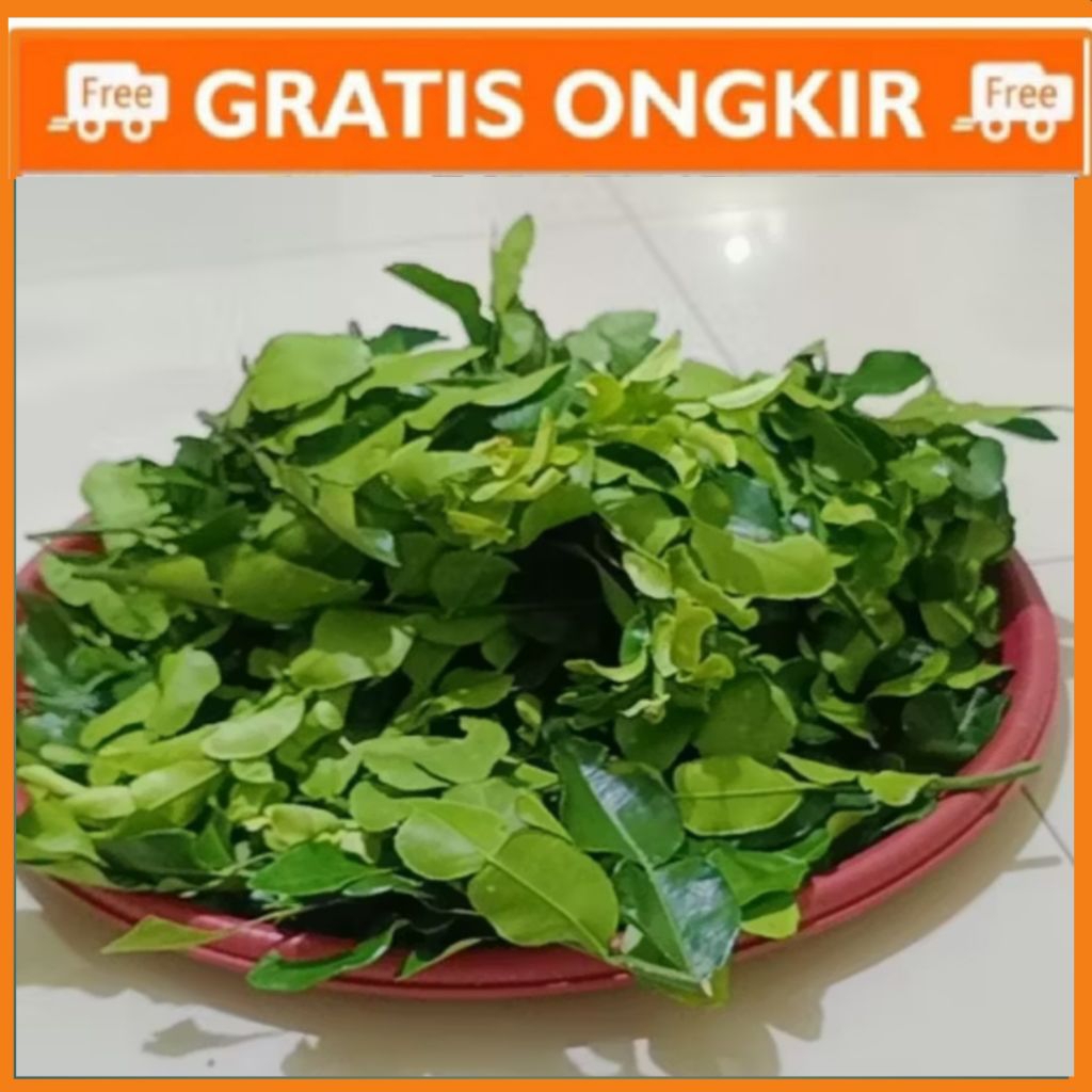 DAUN JERUK PURUT SEGAR 1KG