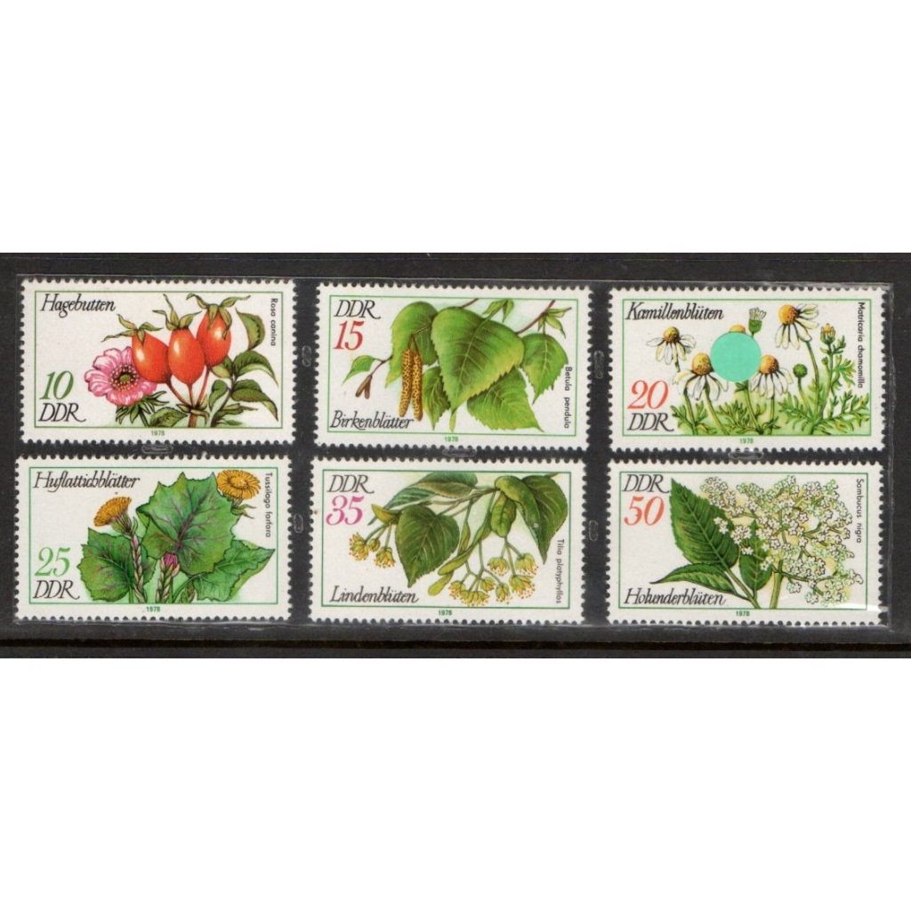 Prangko Tema Bunga mint 165