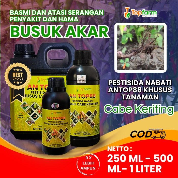 Obat Cabe Topfarm / Obat Busuk Akar Cabai / Obat Busuk Akar Cabe Paling Ampuh / Obat  Busuk Akar Pad