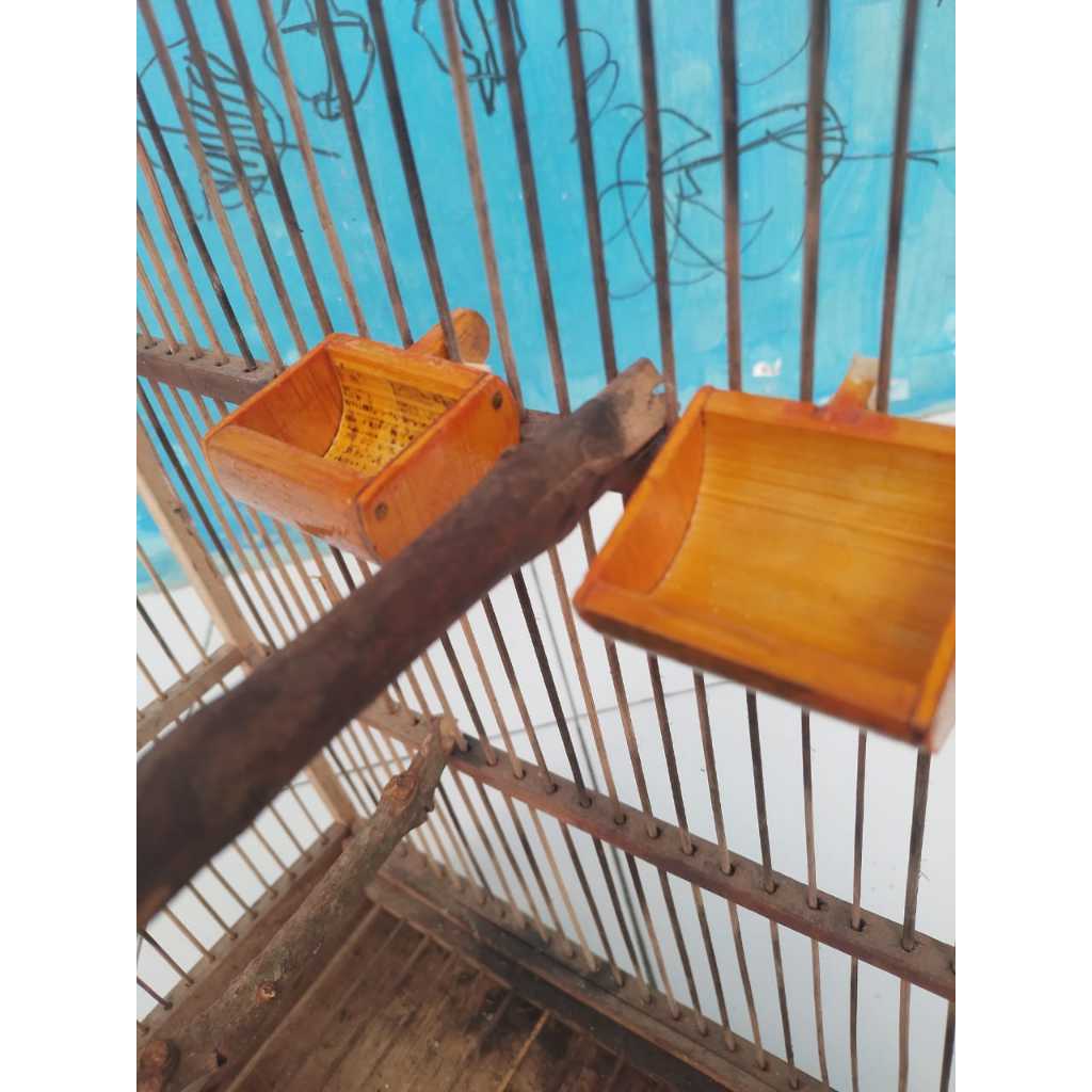 cepuk wadah pakan burung dari bambu terbuat dari bambu