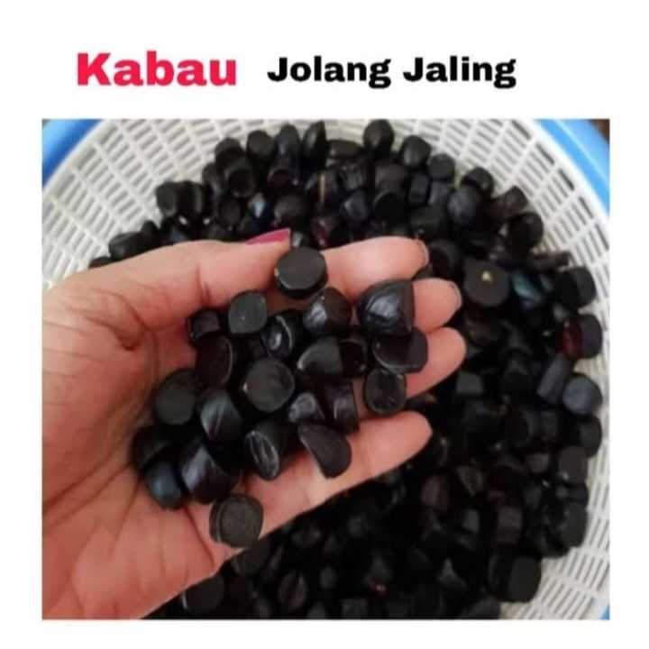 kabau 500 gr atau 1/2 kg. kabau dijamin tua dan segar .  rasanya mirip pete atau jengkol  sangat coc