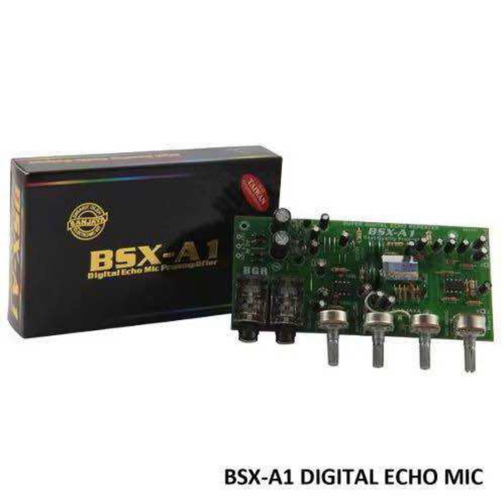 BSX-A1 BELL BGR KIT Pre-amp Echo Mic Repeater Digital Echo Mic Amplifier Audio Tone Control BSX A1 2