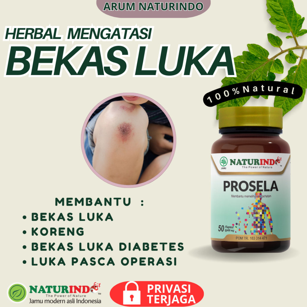 Obat Herbal Penyakit Kulit Bopeng Jerawat Bekas Luka Hitam Koreng Gatal Cacar Herbal Paling Ampuh Pr