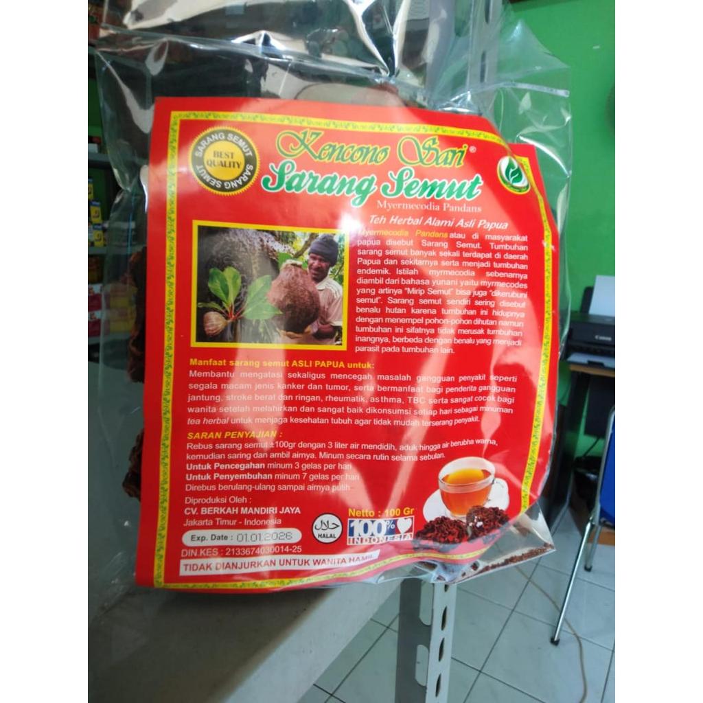 Sarang Semut Teh Kencono Sari Asli Papua Original 100gr