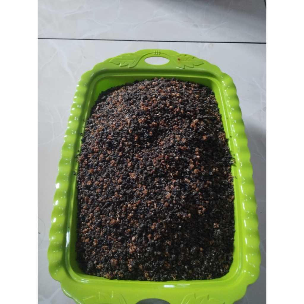 tiwul instan khas trenggalek