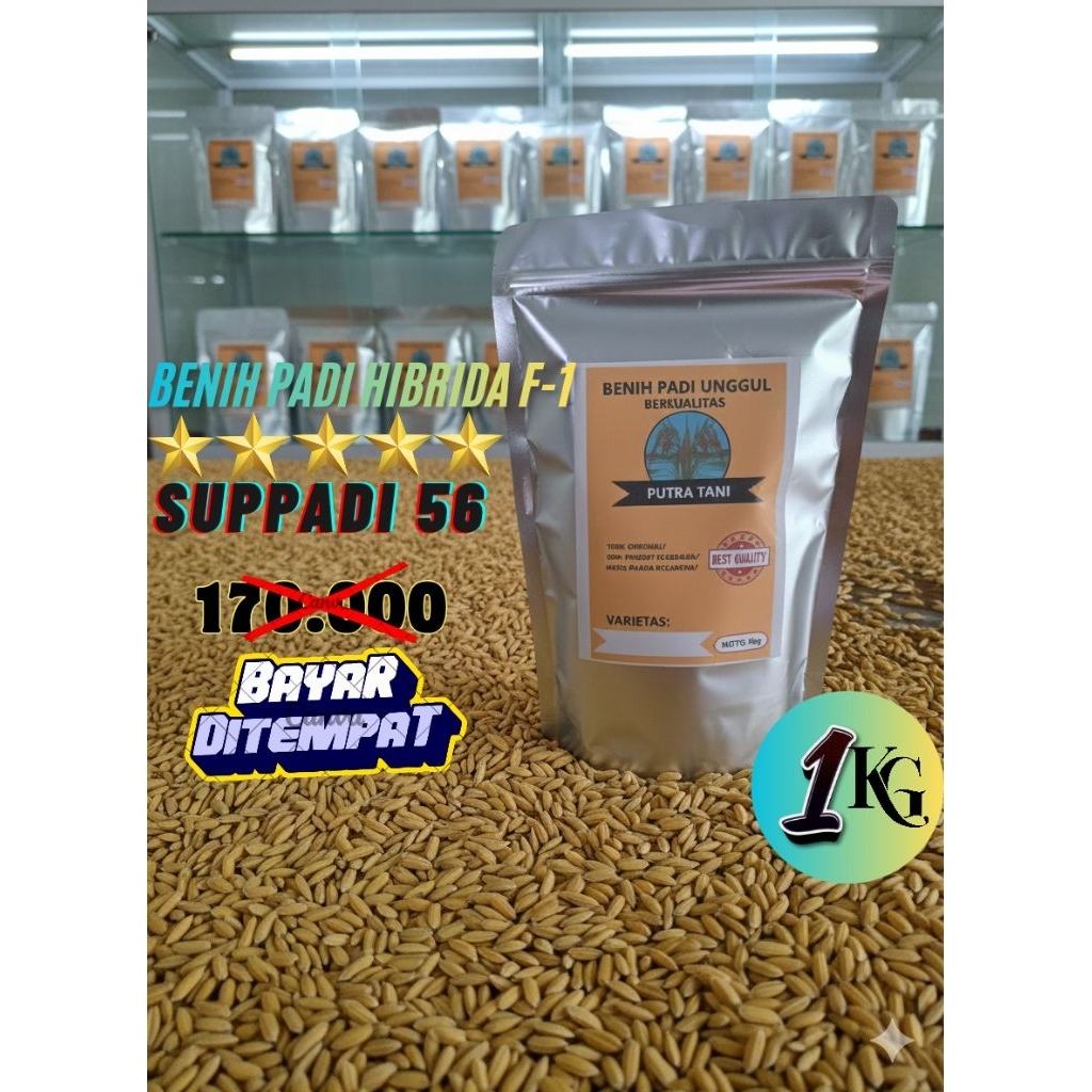 Benih padi/bibit padi Hibrida F-1 SUPPADI 56  1kg