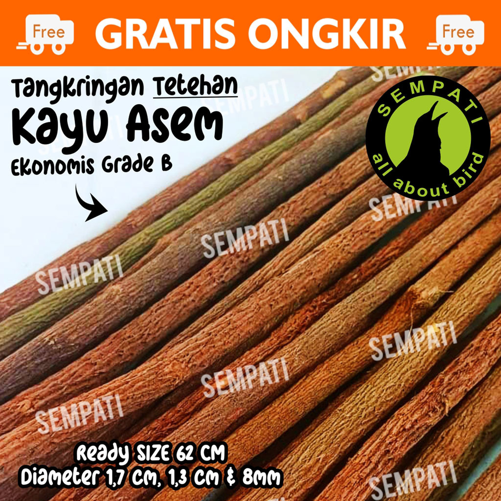 SEMPATI Tangkringan Asem Jawa  Kayu Tetehan Grade B Tangkringan Sangkar Kandang Burung Kacer Anis Ja