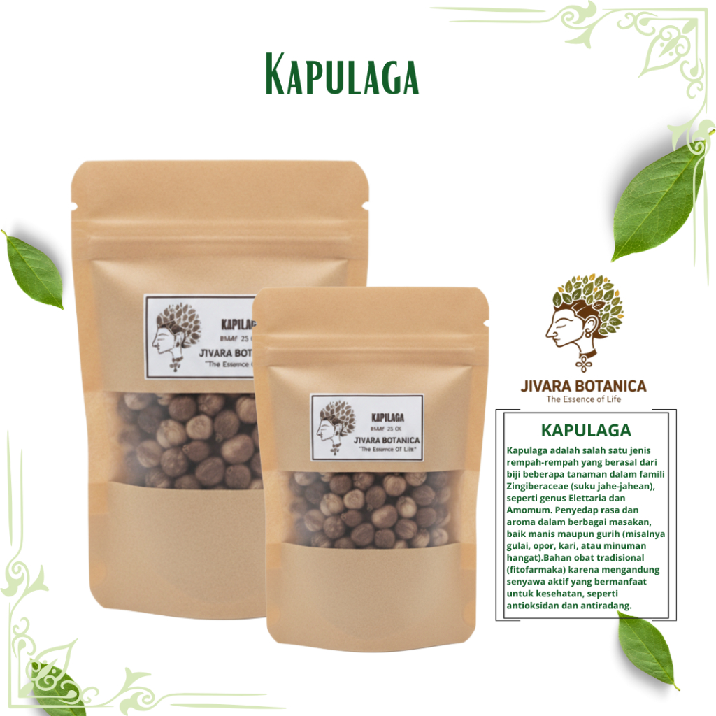 Kapulaga 10 gram - Jivara Botanica