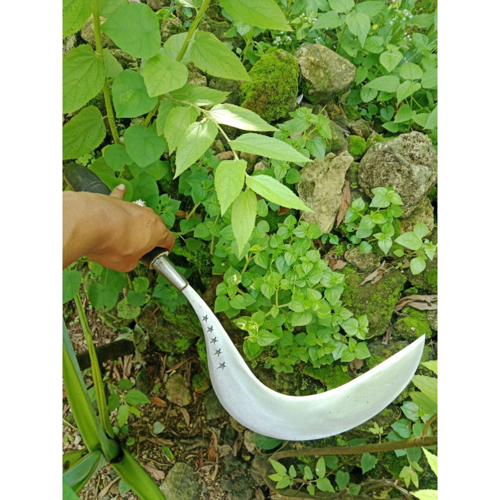 Arit Madura Bintang 5 Original Pemotong Rumput Padi Jagung Alat Berkebun Dan Tani