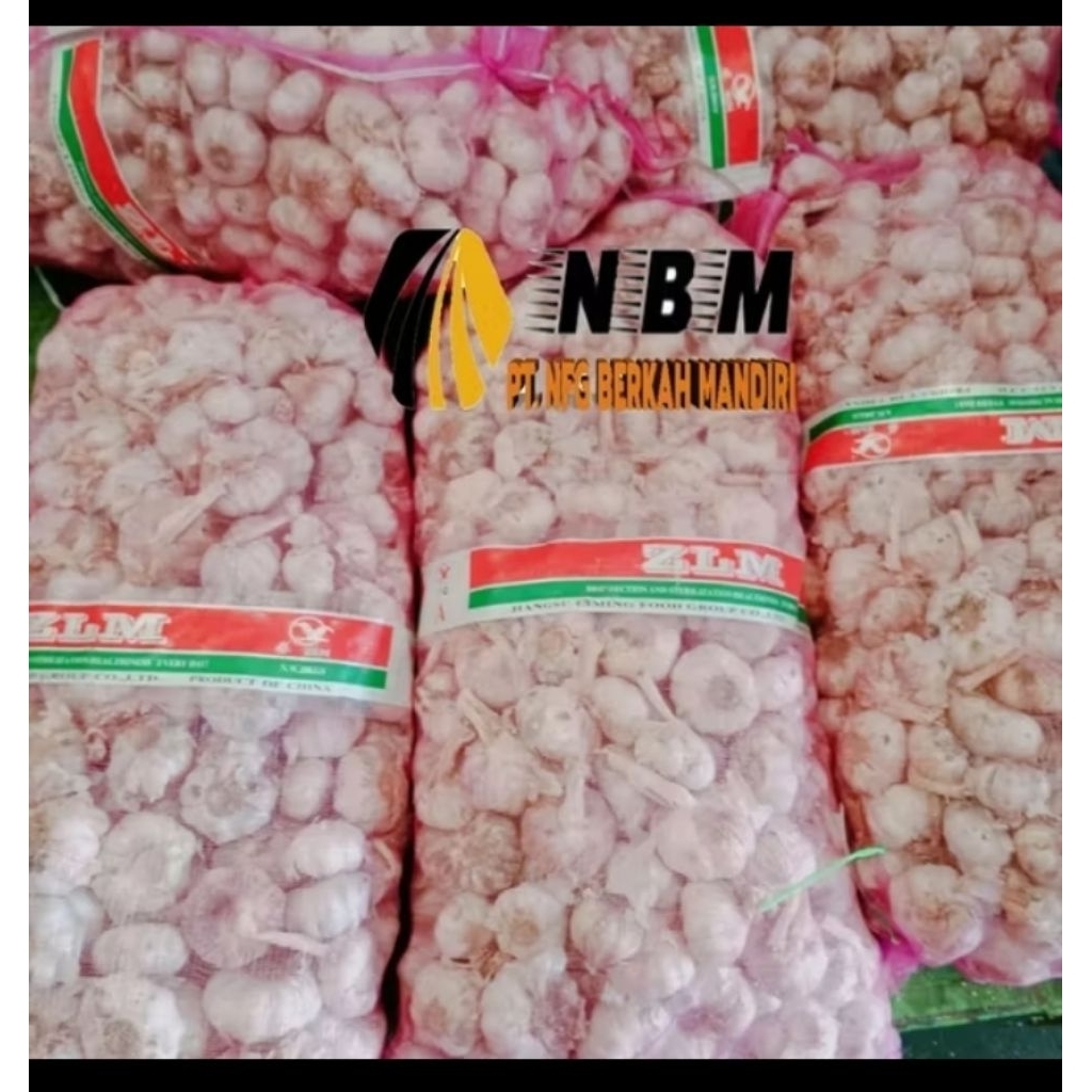 Bawang Putih Honan / Biasa Termurah Fresh (HARGA RESELLER) 1 Ball 20kg 1 Karung