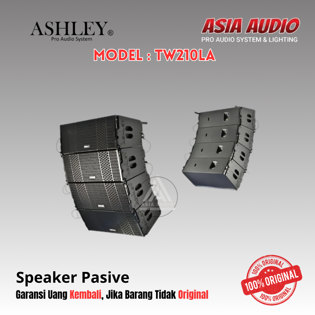 SPEAKER PASIVE  LINE ARRAY ASHLEY TW210LA