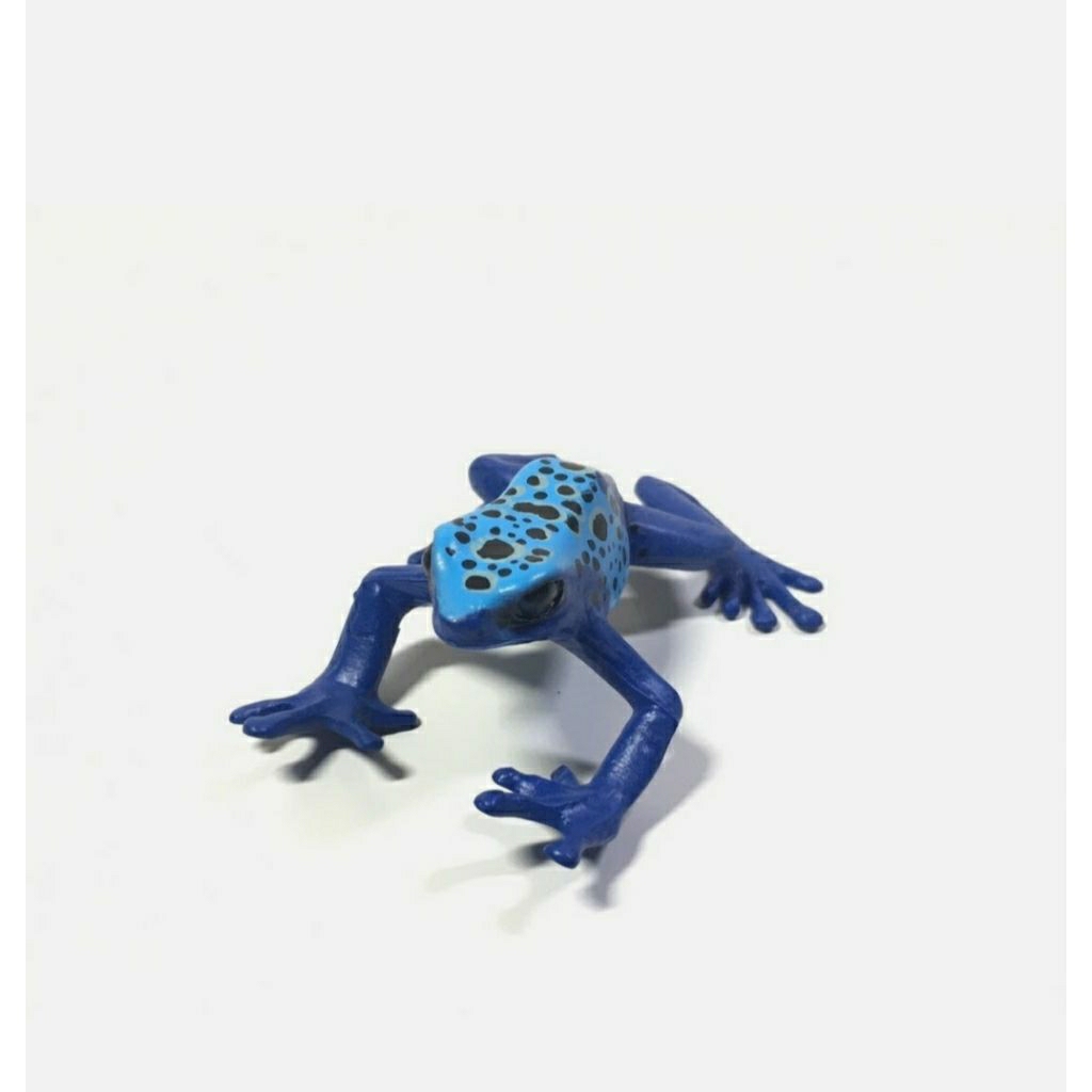 2005 Colorata Blue Poison Dart Frog