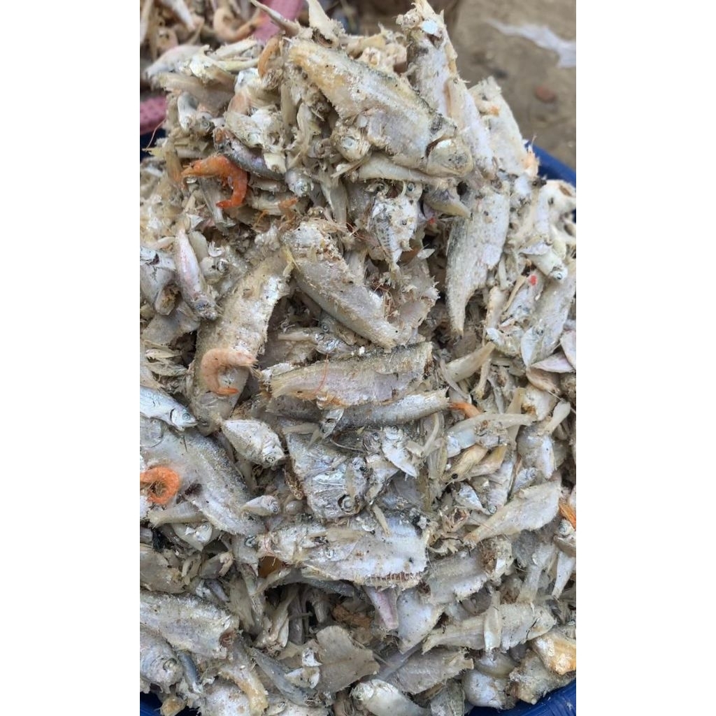 IKAN ASIN SAMPAH / IKAN ASIN MURAH IKAN ASIN ASLI MEDAN