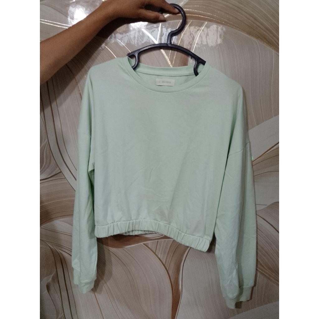 Crewneck Crop Colorbox | Sweater Crop Wanita
