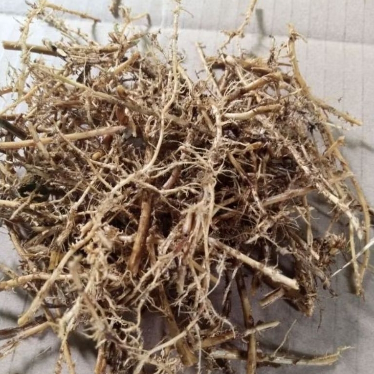 Humus/ akar Bambu Hitam 100Gram