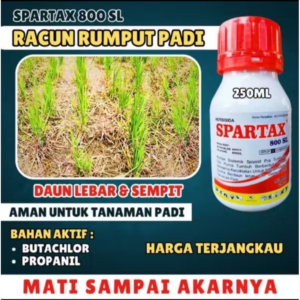 Spartax Herbisida 800SL 250ml Sistemik Pembasmi Ampuh Gulma Padi Racun Rumput Padi Original Terbaik