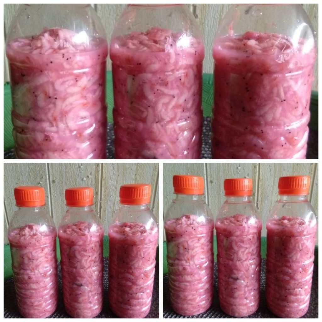 Ronto/Secalok/Hakoi/Hekoi/Cincalok Udang Sungai Pinyuh/Singkawang 350gr