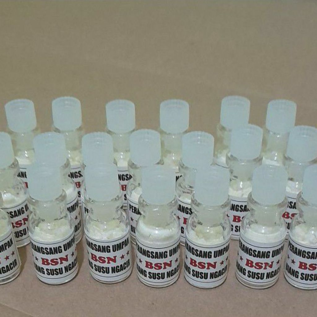 BIANG SUSU NGACIR / PERANGSANG UMPAN MANCING / BIANG SUSU ORIGINAL