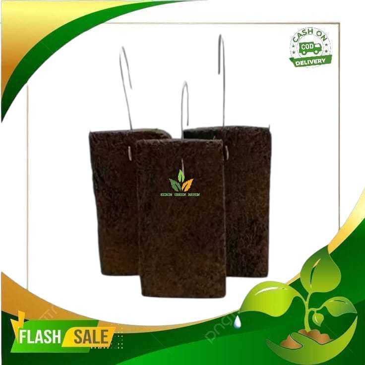 media papan pakis lempeng - media tempel anggrek - lebar 12, panjang 22, tebel 2,5cm + kawat