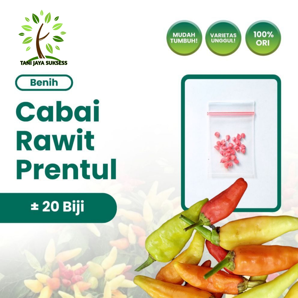 20 Benih Cabe Rawit Prentul Klaster Unggul