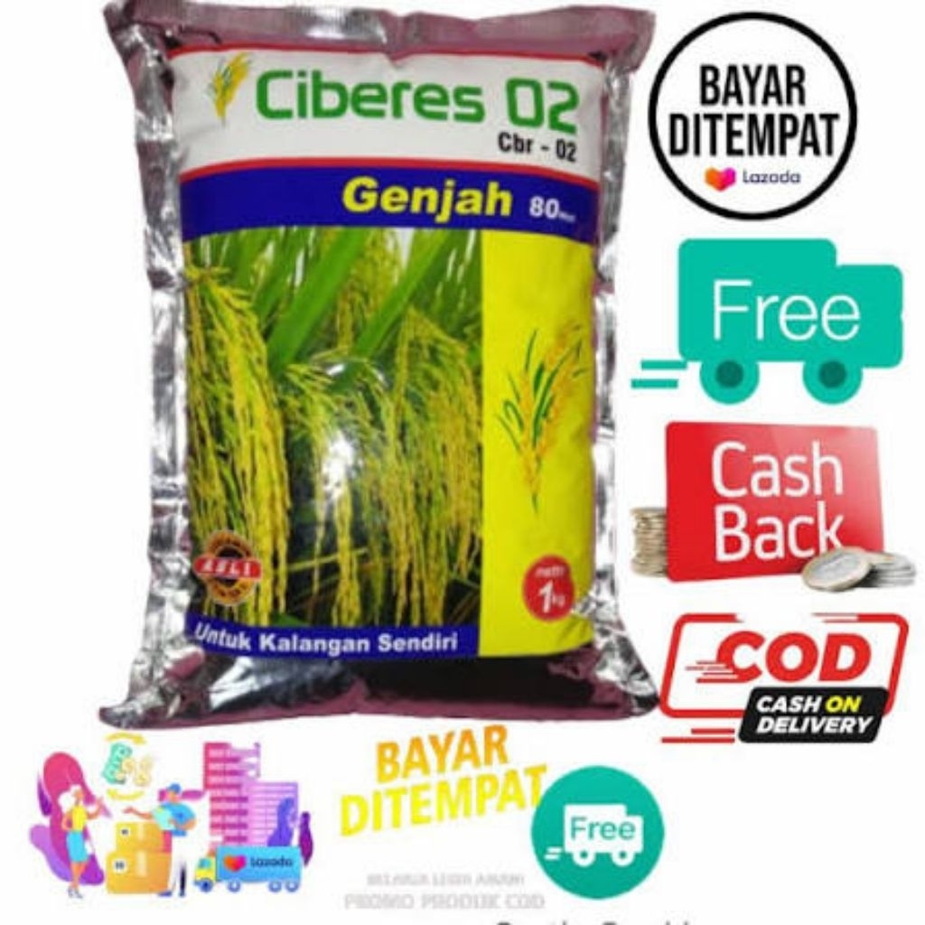 ORIGINAL Terjamin Bibit Benih PADI CIBERES 02 1kg