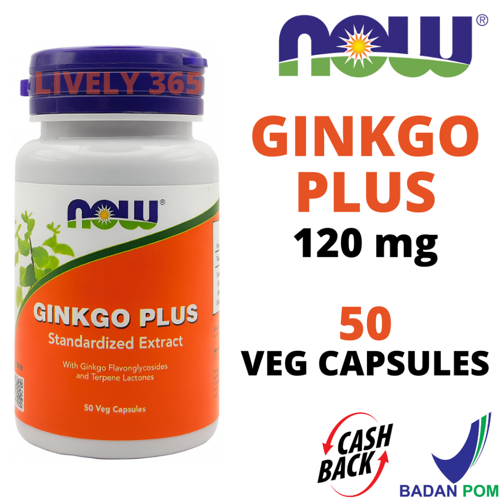 Ginkgo Plus Ginkgo Biloba 120 mg (BPOM) | NOW Foods | 50 Veg Capsules