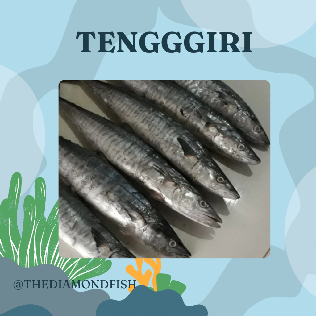 Ikan Tenggiri 1Kg Ikan Tenggiri Segar Ikan Tengiri Seafood Ikan Laut Ikan Segar 1Kg