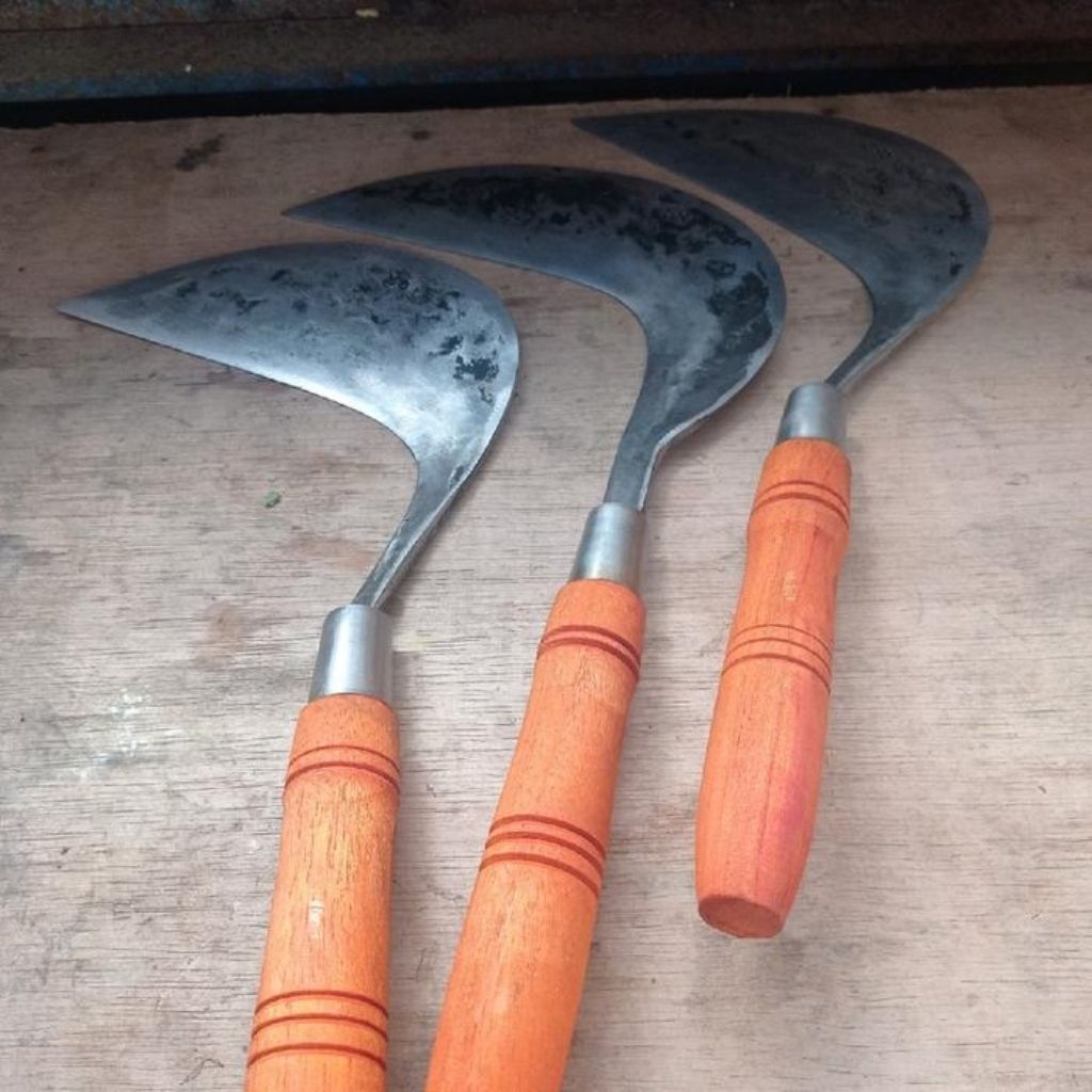 Arit sawah peralatan berkebun / parang untuk rumput